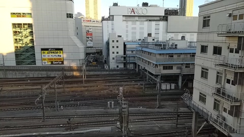 tokyo1130021kaz  26-02-2023